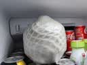 佳农泰国进口椰青 2粒单果900g+ 赠开椰器吸管 生鲜水果送礼  包邮 实拍图