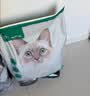 网易严选全价猫粮4.0成幼猫三文鱼亮毛养胃深海鱼虾1.8kg*6袋【宠物金选】 实拍图