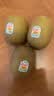 佳沛（zespri）新西兰金奇异果22粒巨大原箱146-175g猕猴桃水果礼盒 实拍图