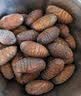 辽梦【销量20万+只】蚕蛹鲜活发货东北特产 新鲜茧蛹特级大黄蚕蛹蝉蛹 【顶配】大黄丨净重500g（45-50只）千人购买 实拍图