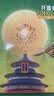 佳沛（zespri）新西兰金奇异果12粒特大果124-146g猕猴桃水果礼盒 实拍图