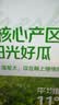 【冰镇】美都无籽麒麟西瓜1粒 约4.5kg 实拍图