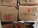 红豆内衣男7A抑菌升级秋衣秋裤纯棉套装圆领薄款打底保暖内衣 实拍图