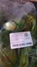 上海青约500g(油菜) 实拍图