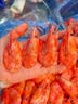仁豪水产腹籽北极甜虾净重2斤 特大号 70/90规格 腹籽率80% 家庭聚餐 实拍图