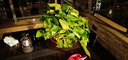 青源绿萝盆栽室内绿植花卉水培植物大叶绿箩 1盆360超大盆一盆顶六盆 带盆栽好 实拍图