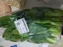 上海青约500g(油菜) 实拍图