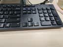 戴尔（DELL）KB216键盘有线商务办公键盘笔记本电脑台式机外接配件全尺寸静音键盘USB即插即用防泼溅（黑色） 实拍图