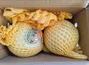 京鲜生 玉菇甜瓜2粒装 单果重2-2.8斤净重4-5.5斤 生鲜水果礼盒 实拍图