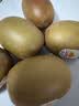 佳沛（zespri）新西兰金奇异果猕猴桃 5粒装 单果约88-103g 水果源头直发 实拍图