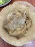 银祥姜母鸭500g厦门特产福建酱板鸭卤味鸭肉熟食腊味闽南伴手礼品全家 实拍图