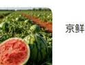 京鲜生 无籽麒麟西瓜 1粒装 净重5-7斤 生鲜水果 实拍图