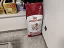 皇家狗粮 成犬狗粮 犬粮 宠物 中型犬 M25 全价犬粮 12月 15KG 实拍图
