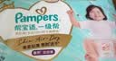 帮宝适新一级帮散热拉拉裤L72夏季超薄透气速干婴儿尿不湿尿裤 实拍图