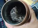 福东顺茶叶 普洱茶 生茶 云南古树大叶种原料茶叶自己喝散装500g 实拍图