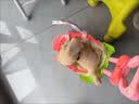 尚美贝贝手推车儿童玩具女孩过家家仿真学步车毛绒玩偶宝宝1-3岁生日礼物 实拍图