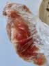 硒全食美无抗富硒汤鸽净重520g（2只）冷冻鸽子滋补煲汤烧烤生鲜鸽子 实拍图