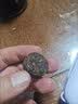 大益TAETEA茶叶普洱茶熟茶小金沱迷你沱茶36g/盒便携易泡 实拍图