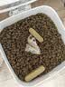 愛肯拿（ACANA）猫粮 牧场盛宴成猫幼猫粮 增肌发腮无谷进口鸡肉粮5.4kg 效期27/5 实拍图