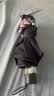 天堂伞 加大雨伞三折 经典商务伞格纹10骨加大雨伞男女 藏青 实拍图