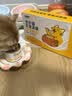 多特思猫罐头猫湿粮主食罐浓汤补水罐猫咪零食下午茶金瓜奶露60g*6罐 实拍图