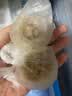 思念玉米火腿纸皮烧麦800g16只 烧麦青少年儿童早餐半成品国庆送礼 实拍图