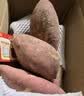 京鲜生正宗烟薯25号蜜薯红薯中果净重9斤单果150g+蔬菜地瓜源头直发 实拍图