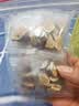 南同四海四君子汤党参白术茯苓甘草颗健祛脾湿粒胃调虚理弱补健四君子合剂 实拍图