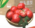 京鲜生 山东普罗旺斯番茄净重4.5斤中果115g+ 沙瓤水果西红柿源头直发 实拍图