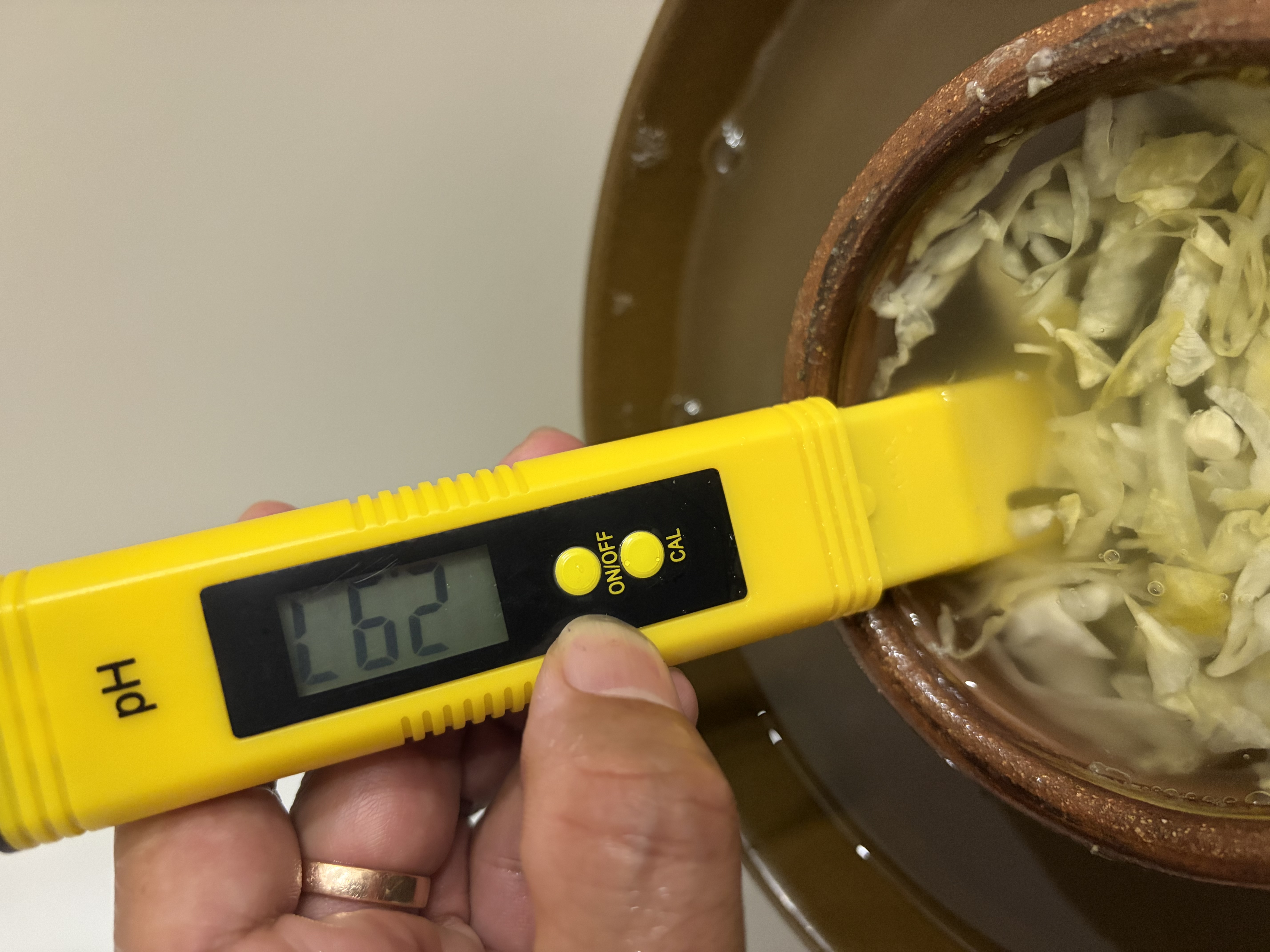 海斯迪克 HKCL-519 酸碱度PH计 实验室ph值测试仪 鱼缸水质检测仪器 ph测试笔0.01精度 实拍图