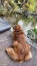 醇粹黑标狗粮无谷冻干犬粮大型犬成犬幼犬通用鸡肉鱼肉狗粮15kg囤货装 实拍图