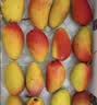 京地达海南澳芒新鲜芒果礼盒净重8斤单果1斤+ 应季新鲜水果源头直发 实拍图