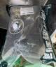 鲜活皮皮虾300g（约10-18只） 实拍图