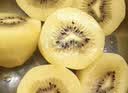 佳沛（zespri）新西兰金奇异果10个装单果重103-114g猕猴桃中秋节礼品送水果礼盒 实拍图