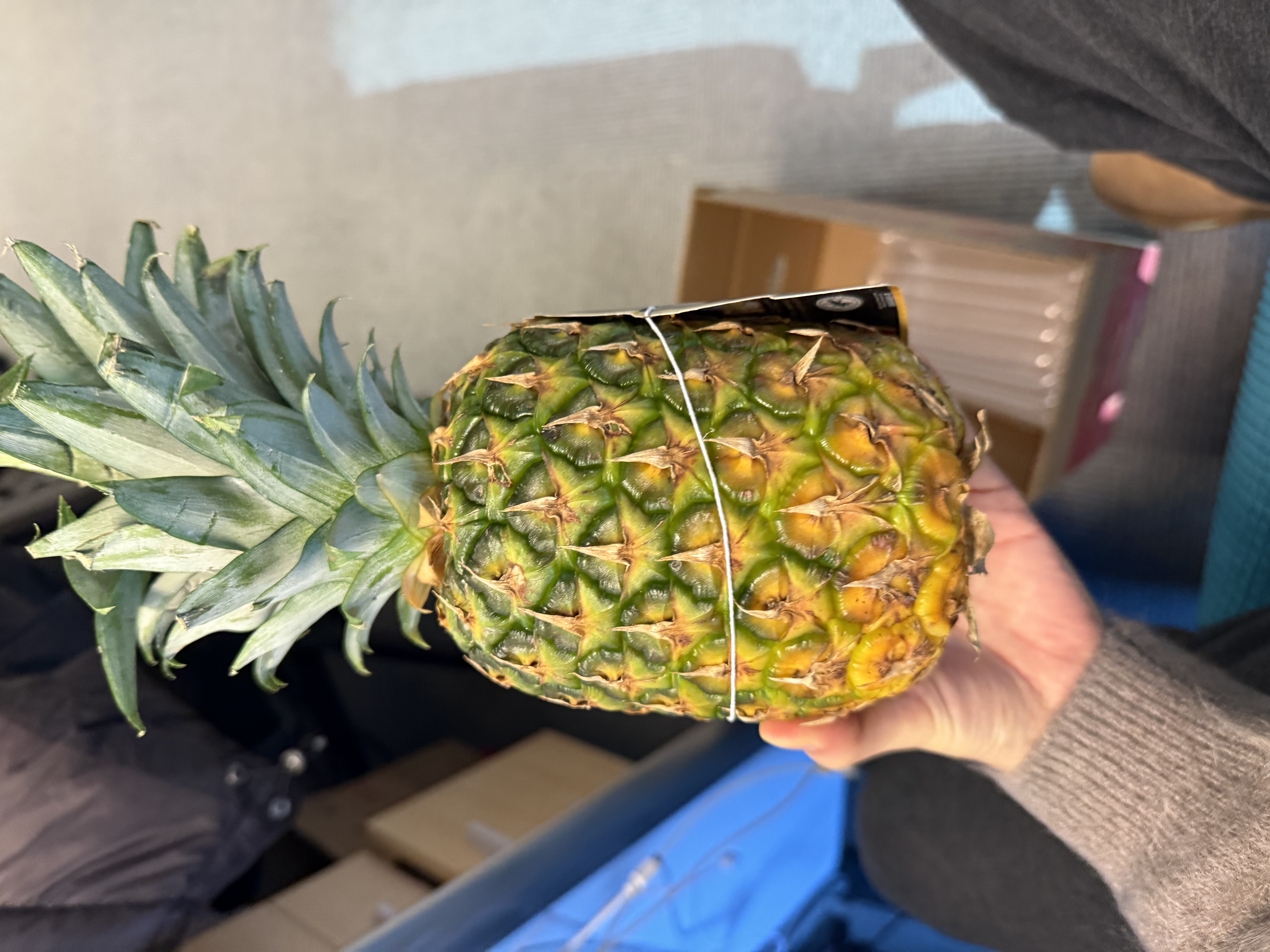 佳农 菲律宾黑钻甜心菠萝1.1kg 实拍图