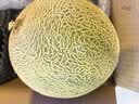 京鲜生 冰淇淋网纹蜜瓜 2粒装 净重4-5斤 单果2斤起 生鲜水果礼盒 实拍图