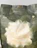 babycare爆款山茶花一次性内裤女士孕妇XXL码30条【 安全灭菌】 实拍图