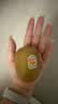 佳沛（zespri）新西兰金奇异果4粒103-114g猕猴桃源头直发水果礼盒 实拍图