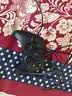 微软（Microsoft）XBOX无线游戏手柄 磨砂黑+USB-C线 蓝牙适配XBOX/PC/平板/手机Steam促销 黑神话悟空 影之刃零 实拍图