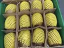 佳沛（zespri）新西兰金奇异果12粒特大果124-146g猕猴桃中秋节礼品送水果礼盒 实拍图
