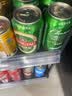 青岛啤酒（TsingTao）百年经典 330ml*20罐 整箱装 国庆出游 实拍图