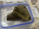 五芳斋中华老字号 锁鲜五芳鲜粽 红烧五花肉140g*8 源头直发 实拍图
