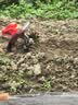 德力西电气电动耕地机充电式菜园专用松土机大功率菜地锄草机锂电微耕机旋耕 【单电池】4.0AH全能松土+旋耕+锄草 【500强企业】德力西电气全新正品 实拍图