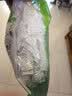 美丽雅保鲜罩食品级150只 一次性保鲜膜套 剩菜专用防尘碗套 实拍图