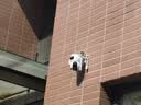 HIKVISION海康威视4g摄像头室户外终身免费充值无限流量1000万双摄监控器360度无死角无线联网无需WIFI 实拍图