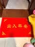 迪茵（DIYIN）出入平安门垫元宝60*90cm 入户门地垫门口脚垫丝圈迎宾防滑垫 实拍图
