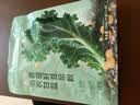 北大荒羽衣甘蓝奇亚籽豆浆粉154g7条高膳食纤维果蔬营养早餐冲饮代餐粉 实拍图
