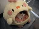 皇家猫粮 挑嘴成猫猫粮 高适口性 EF38 通用粮 12月以上 10KG 实拍图