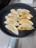 必品阁（bibigo）必品阁韩式脆皮煎饺组合1280g 生鲜速冻饺子 早餐 实拍图
