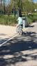 大行（DAHON）BYA412  银色折叠自行车14英寸超轻迷你便携小轮男女式单车 实拍图